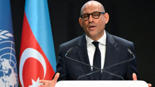 Las negociaciones de la COP29, al ralent&iacute; antes del G20 y la llegada de los ministros