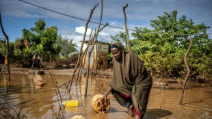 From drought to deluge: Kenyan villagers reel from floods