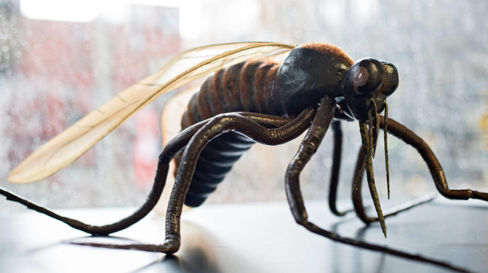 Iss, i casi di West Nile in Italia aumentano da 275 a 351