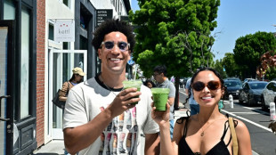 El matcha conquista el mundo y la demanda desborda a productores en Jap&oacute;n