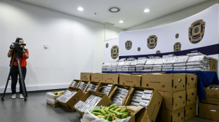 Mutmaßliche Drogen in Bananenkisten lösen in Brandenburg Polizeieinsätze aus