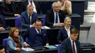 Bundestags-Sondersitzung: AfD setzt nach Karlsruhe-Urteil Hoffnung in zweite Klage