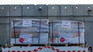 Bericht: Hilfstransporte für Gazastreifen passieren Grenzübergang Kerem Schalom