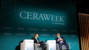 La descarbonizaci&oacute;n, una marat&oacute;n en la que algunos corren y otros ni caminan