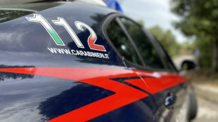 Investe bimbo a Torino e scappa, arrestata dai carabinieri