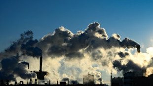 Brasil, Bolivia y Costa Rica adoptan con UE y Japón normas internacionales sobre el carbono