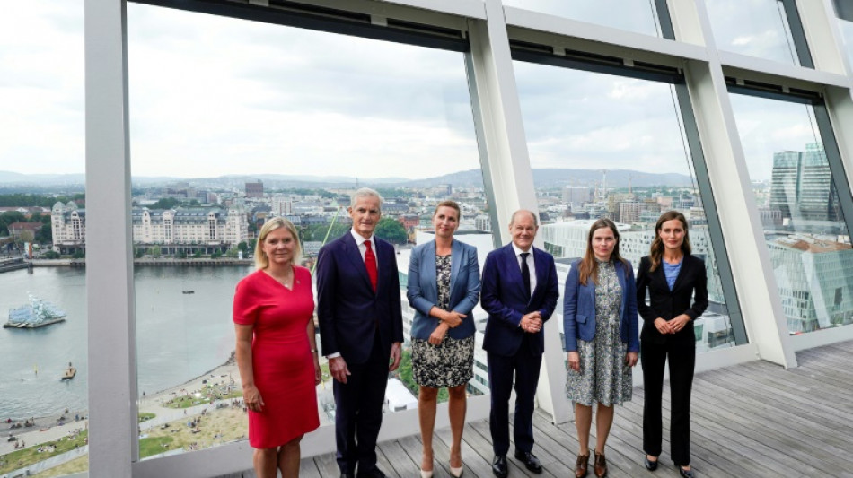 Deutschland und Skandinavien wollen enger bei Energiewende zusammenarbeiten