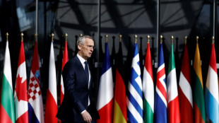 Stoltenberg betont vor Nato-Beitritt Finnlands die St&auml;rke des Milit&auml;rb&uuml;ndnisses