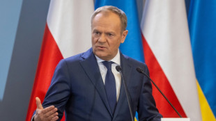Polen stellt über zwei Milliarden Euro für Sicherung seiner östlichen Grenze bereit