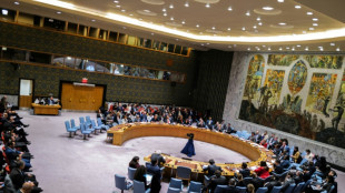 Pas de commentaires apr&egrave;s la r&eacute;union du Conseil de s&eacute;curit&eacute; sur la crise Guyana-Venezuela