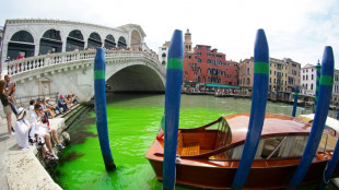 Un tron&ccedil;on du Grand Canal de Venise vire au vert fluorescent