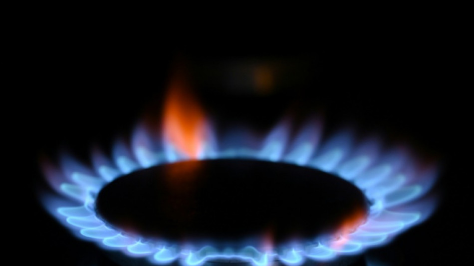 Bundesnetzagentur startet Umfrage zu Gasverbrauch bei Großverbrauchern