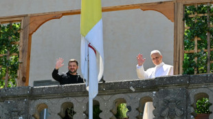 Zelensky re&ccedil;u par le pape &agrave; la veille d'une conf&eacute;rence sur l'Ukraine &agrave; Rome