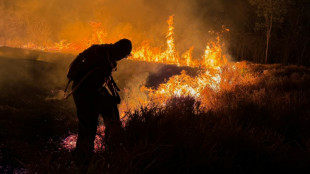 Brasil registra un récord de incendios forestales entre enero y abril
