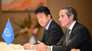 El director del OIEA visita Fukushima cuando Jap&oacute;n retoma la energ&iacute;a nuclear