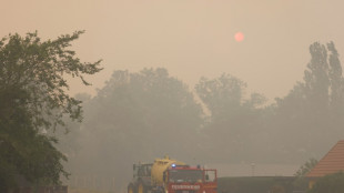 Lage bei Waldbränden in Brandenburg entspannt sich durch Regen