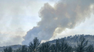 Um morto e nove feridos em grande inc&ecirc;ndio florestal na Fran&ccedil;a