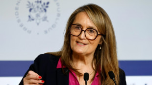 Frankreichs Premier l&auml;hmt mit &Auml;u&szlig;erung zur "&Uuml;berflutung" durch Ausl&auml;nder Haushaltsberatungen