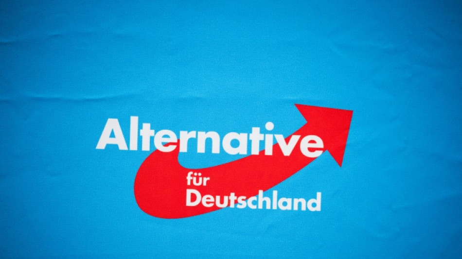 AfD klagt in Karlsruhe auf Komplett-Wiederholung der Bundestagswahl in Berlin