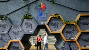 COP16 Biodiversit&eacute;: les politiques entrent en sc&egrave;ne &agrave; Cali pour trancher les d&eacute;bats