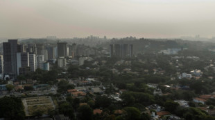 El humo de fuegos en la Amazon&iacute;a alcanza grandes ciudades de Brasil y se expande por el continente