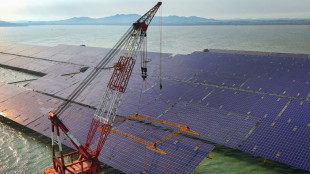 China, foco de minicumbre del clima en Nueva York por nuevo plan para reducir emisiones