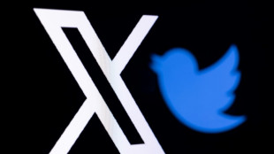 Musk k&uuml;ndigt Sprach- und Videoanrufe auf Twitter-Nachfolger X an 
