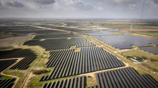 Bericht: Länder hinken bei Solarausbau auf landeseigenen Gebäuden hinterher