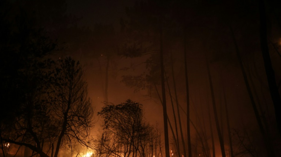 Feux de for&ecirc;t en Gironde: plus de 9.000 hectares br&ucirc;l&eacute;s