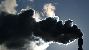 Climat: 11 Etats de l'UE, dont la France, r&eacute;clament un objectif 2040 "ambitieux"