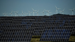 Croissance marquée des énergies renouvelables: encore un effort!, plaide l'AIE