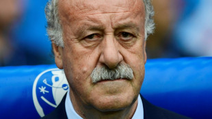 Former coach Del Bosque to lead committee overseeing Spanish federation