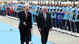 Steinmeier und Erdogan wollen inmitten von Spannungen Beziehungen verbessern