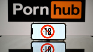 Youporn et Pornhub suspendent leur acc&egrave;s en France &agrave; partir de mercredi 
