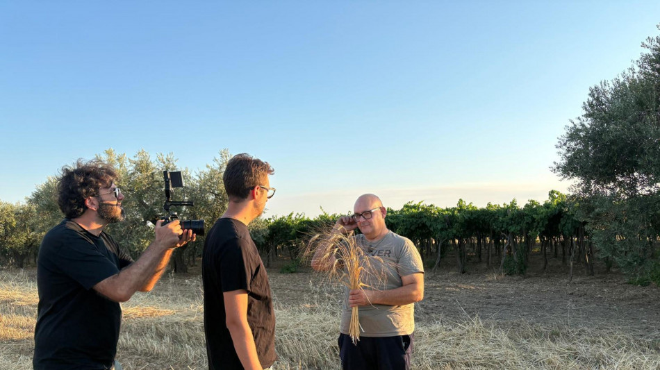 In Puglia salvati 100 cereali e 48 legumi in Banca Germoplasma