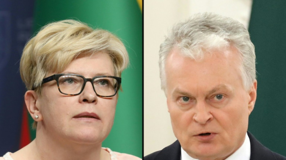 Stichwahl um die Pr&auml;sidentschaft in Litauen