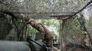 Kiev, 'offensiva nel Donetsk prosegue, liberati 51 chilometri quadrati'