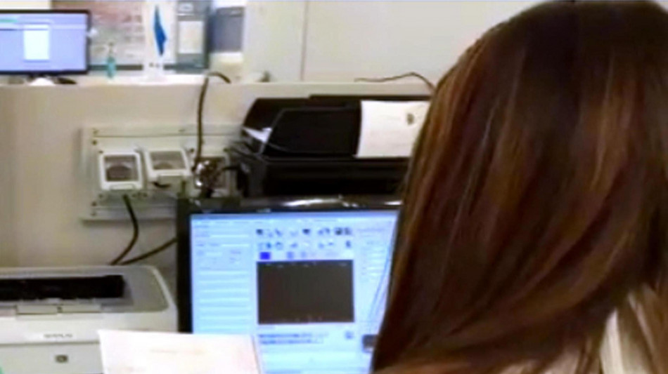 Albero genealogico animato mostra gli spostamenti degli antenati