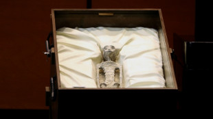 Corpos de supostos ETs s&atilde;o exibidos no Congresso mexicano