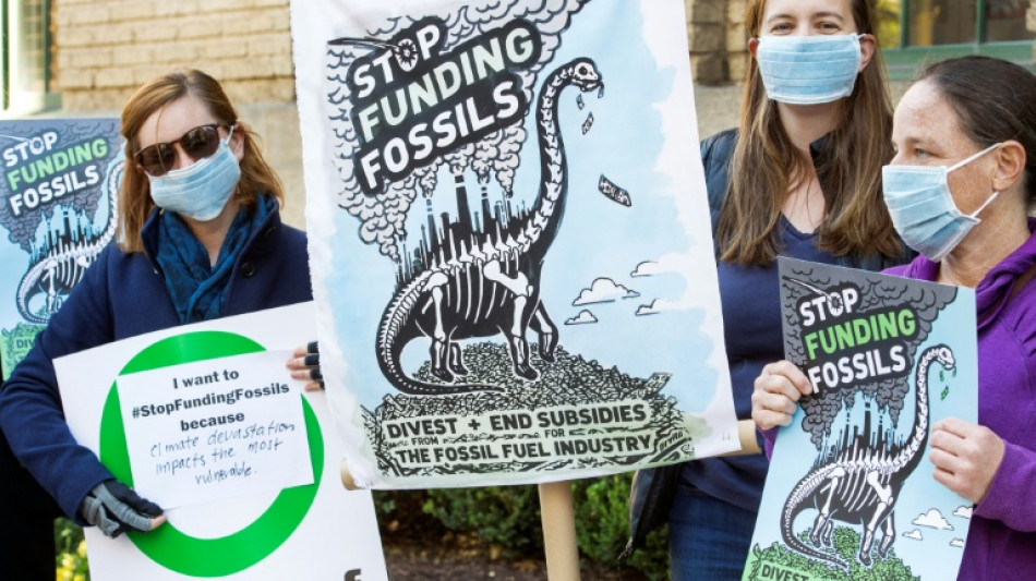 Cerca de 90 recursos legales contra las empresas de energ&iacute;as f&oacute;siles en el mundo, seg&uacute;n un informe