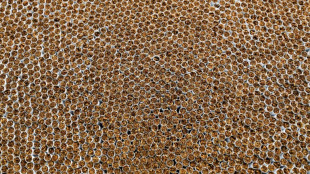 32 Millionen unversteuerte Zigaretten in illegaler Fabrik in D&uuml;sseldorf gefunden