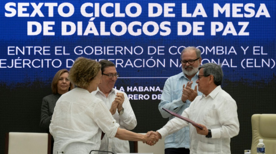 El gobierno de Colombia y el ELN retomar&aacute;n conversaciones en una "reuni&oacute;n extraordinaria" en Venezuela