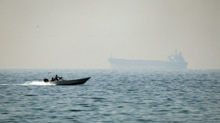 UN Security Council to vote on authorizing force to protect Hormuz