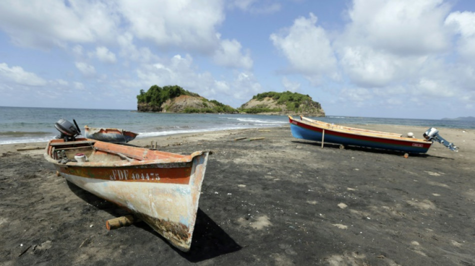 Aux Antilles, la p&ecirc;che mise &agrave; mal par la pollution au chlord&eacute;cone