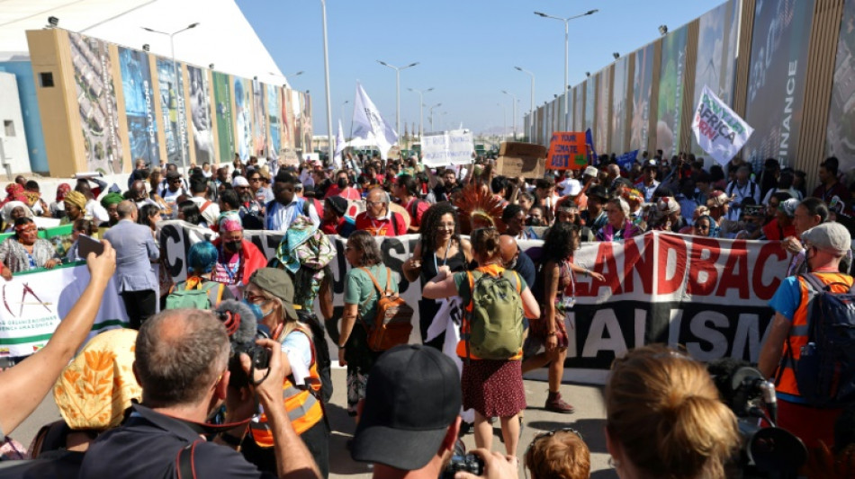Hunderte fordern auf Gelände von COP27 Freilassung  von Aktivist Abdel Fattah