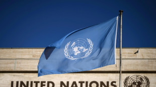 Brevets: des youyous à l'ONU pour célébrer le nouveau traité contre la biopiraterie