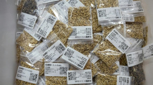 A diversidade de sementes, um tesouro para a adaptação à mudança climática