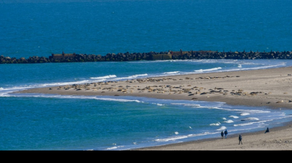 Nordsee 2025 so warm wie nie - st&auml;rkster Eiswinter an K&uuml;sten seit 15 Jahren