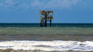 La OPEP prev&eacute; un crecimiento "robusto" de la demanda de petr&oacute;leo en 2025