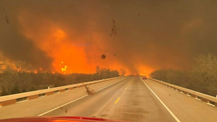 Firma eléctrica reconoce culpa en inicio de mayor incendio forestal de Texas